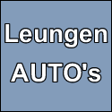 leungenauto