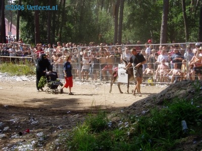 Foto: 11080.jpg