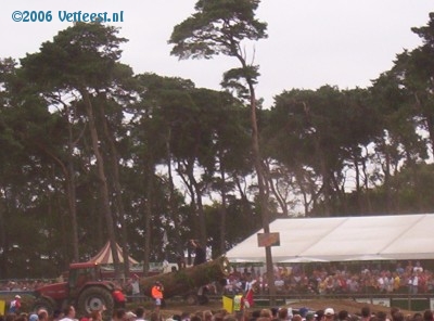 Foto: 11124.jpg