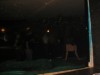 Foto: 11997_resized.jpg