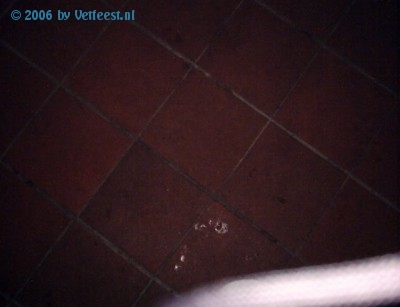 Foto: 1239.jpg