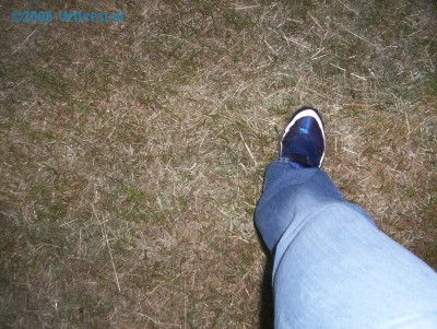 Foto: 12871.jpg