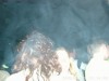 Foto: 13382_resized.jpg