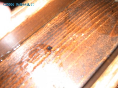 Foto: 15074.jpg