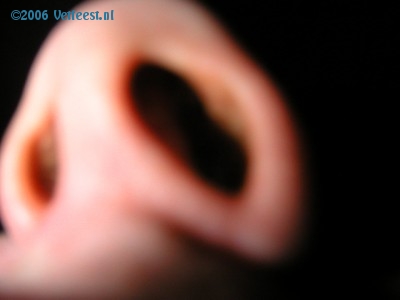Foto: 16725.jpg