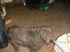 Foto: 17162_resized.jpg