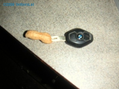 Foto: 17426.jpg