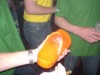 Foto: 17485_resized.jpg