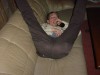 Foto: 1814_resized.jpg