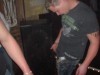 Foto: 18555_resized.jpg