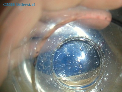 Foto: 19321.jpg
