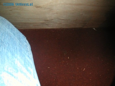 Foto: 19330.jpg