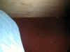Foto: 19330_resized.jpg