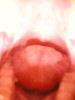 Foto: 20160_resized.jpg