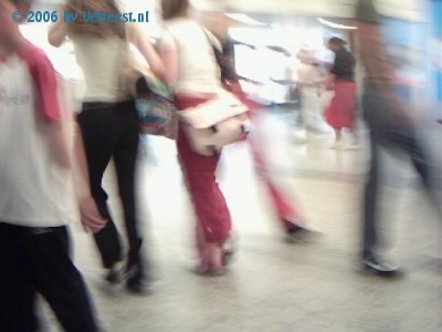 Foto: 2059.jpg