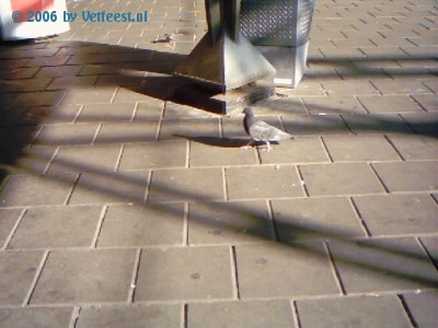 Foto: 2103.jpg