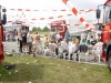Foto: 2254_resized.jpg
