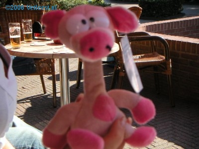 Foto: 24379.jpg