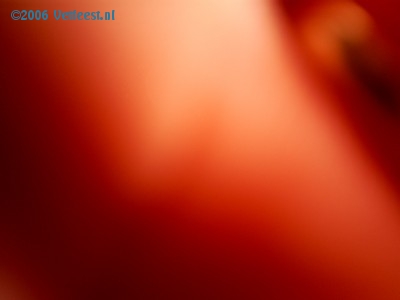 Foto: 25647.jpg