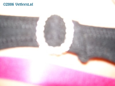 Foto: 25791.jpg