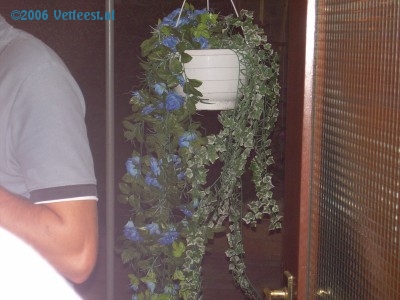 Foto: 26818.jpg