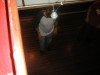 Foto: 27464_resized.jpg