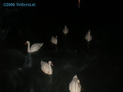Foto: 27490.jpg