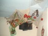 Foto: 28123_resized.jpg