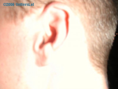 Foto: 29505.jpg