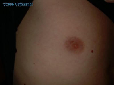 Foto: 29613.jpg