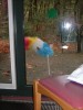 Foto: 30329_resized.jpg