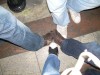 Foto: 31247_resized.jpg