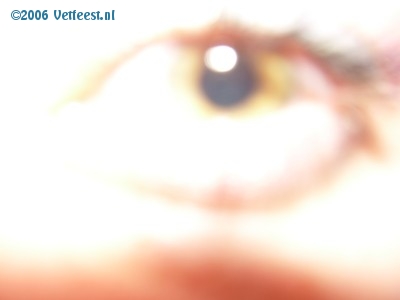 Foto: 31280.jpg