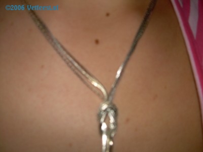 Foto: 31339.jpg