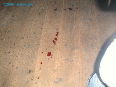 Foto: 31914.jpg