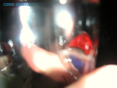 Foto: 32228.jpg