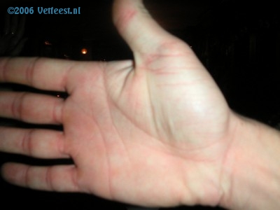 Foto: 32265.jpg
