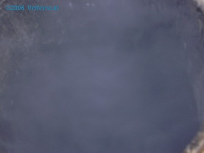 Foto: 33502.jpg