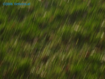 Foto: 33591.jpg