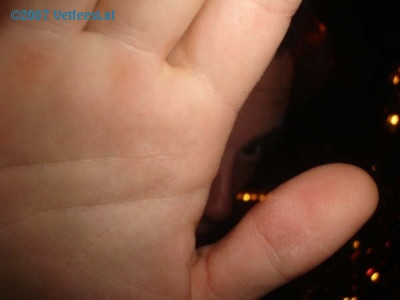 Foto: 35291.jpg