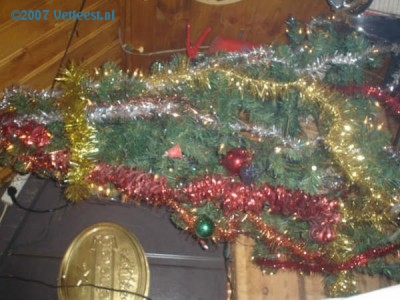 Foto: 35304.jpg