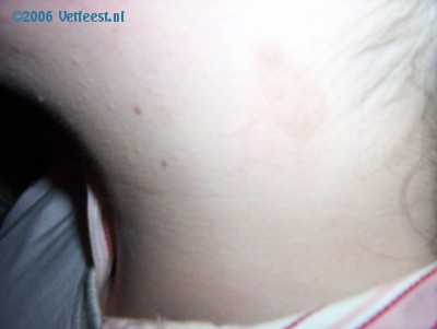 Foto: 3542.jpg