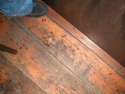 Foto: 35448.jpg