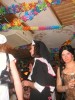 Foto: 35488_resized.jpg