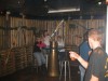 Foto: 36268_resized.jpg