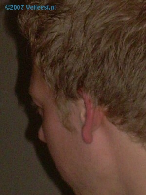 Foto: 36563.jpg