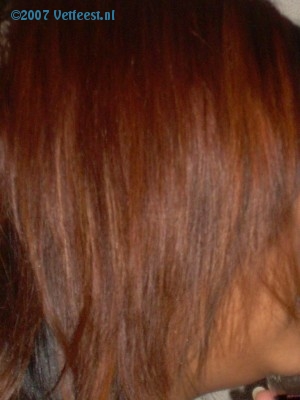 Foto: 36564.jpg