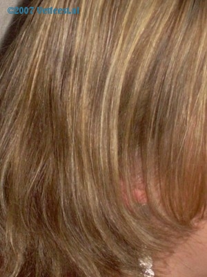Foto: 36566.jpg