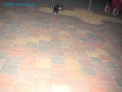 Foto: 38842.jpg