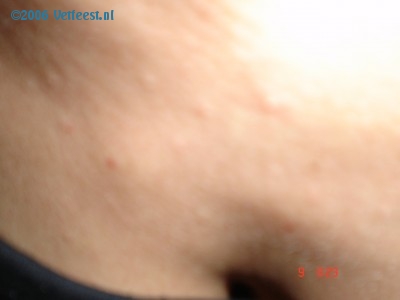 Foto: 3976.jpg